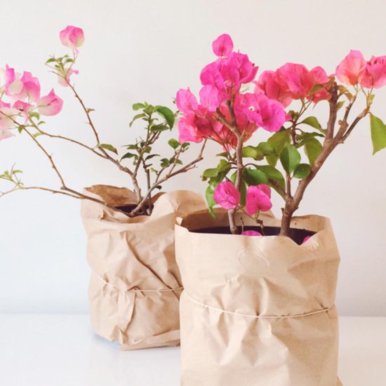 Metro Showcase Fiorello